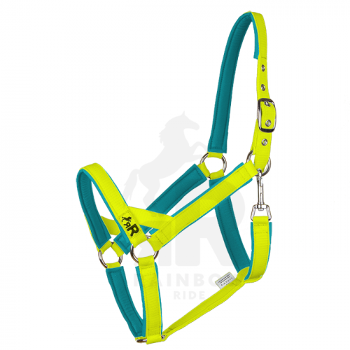 Ohlávka Basic Maxi - Barva popruhu Basic: neonově žlutá, Barva podšití Basic: tyrkysová