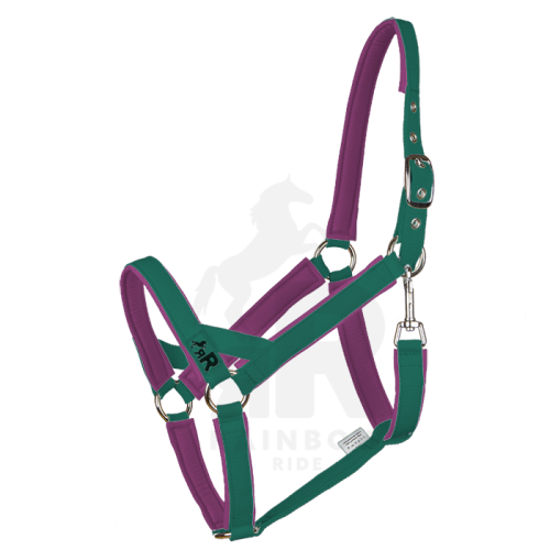 Ohlávka Basic Maxi - Barva popruhu Basic: lovecká zelená, Barva podšití Basic: fialová