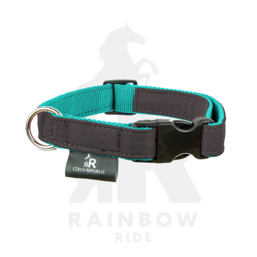 Obojek Komfort - Barva polstrování Komfort: šedá, Barva popruhu Komfort: tyrkysová