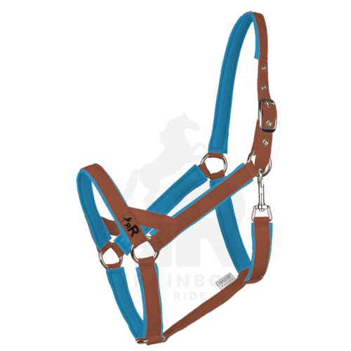 Ohlávka Basic Mini - Barva popruhu Basic: hnědá, Barva podšití Basic: modrá