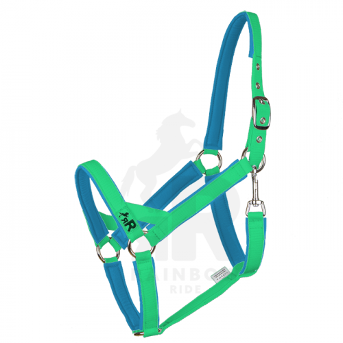 Ohlávka Basic Maxi - Barva popruhu Basic: neonově zelená, Barva podšití Basic: modrá