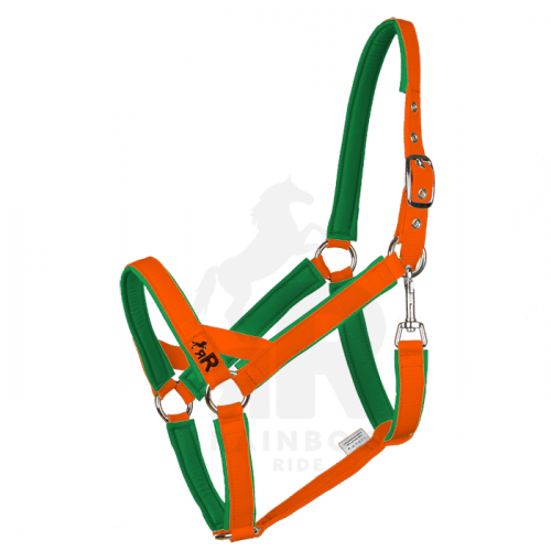 Ohlávka Basic Mini - Barva popruhu Basic: neonově oranžová, Barva podšití Basic: zelená