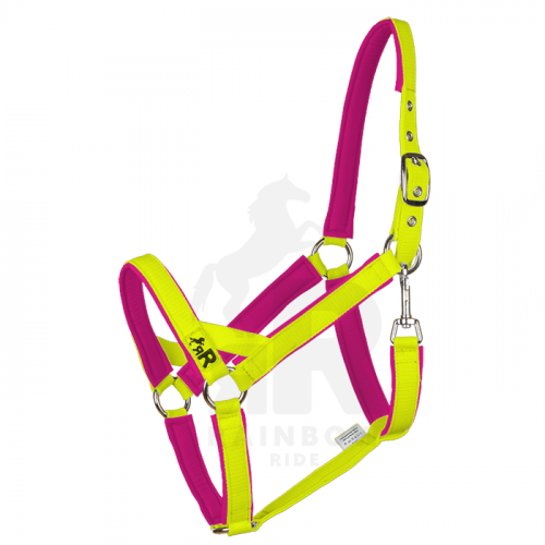 Ohlávka Basic Mini - Barva popruhu Basic: neonově žlutá, Barva podšití Basic: růžová