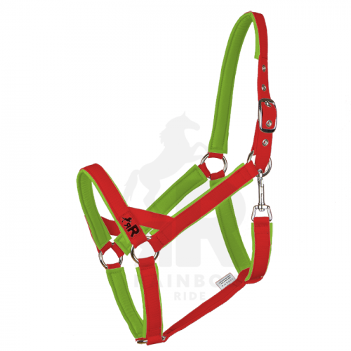 Ohlávka Basic Maxi - Barva popruhu Basic: červená, Barva podšití Basic: světle zelená