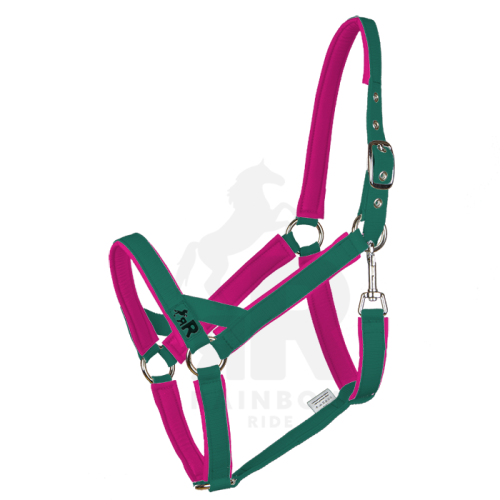 Ohlávka Basic Maxi - Barva popruhu Basic: lovecká zelená, Barva podšití Basic: růžová