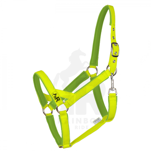Ohlávka Basic Maxi - Barva popruhu Basic: neonově žlutá, Barva podšití Basic: světle zelená