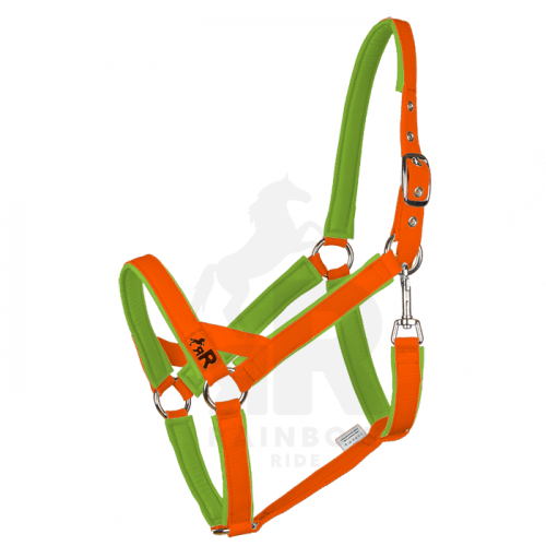 Ohlávka Basic Maxi - Barva popruhu Basic: neonově oranžová, Barva podšití Basic: zelená