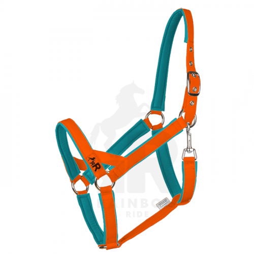Ohlávka Basic Maxi - Barva popruhu Basic: neonově oranžová, Barva podšití Basic: tyrkysová