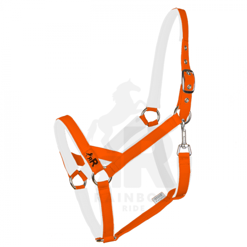 Ohlávka Basic Maxi - Barva popruhu Basic: neonově oranžová, Barva podšití Basic: bílá